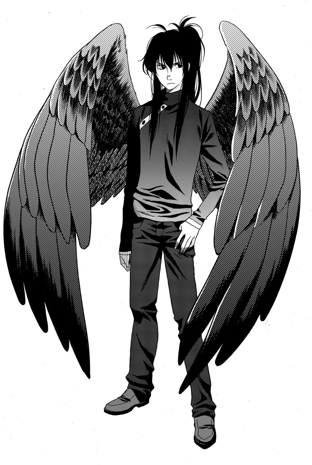 Manga-Fang-D-maximum-ride-1317769-1076-1600.jpg